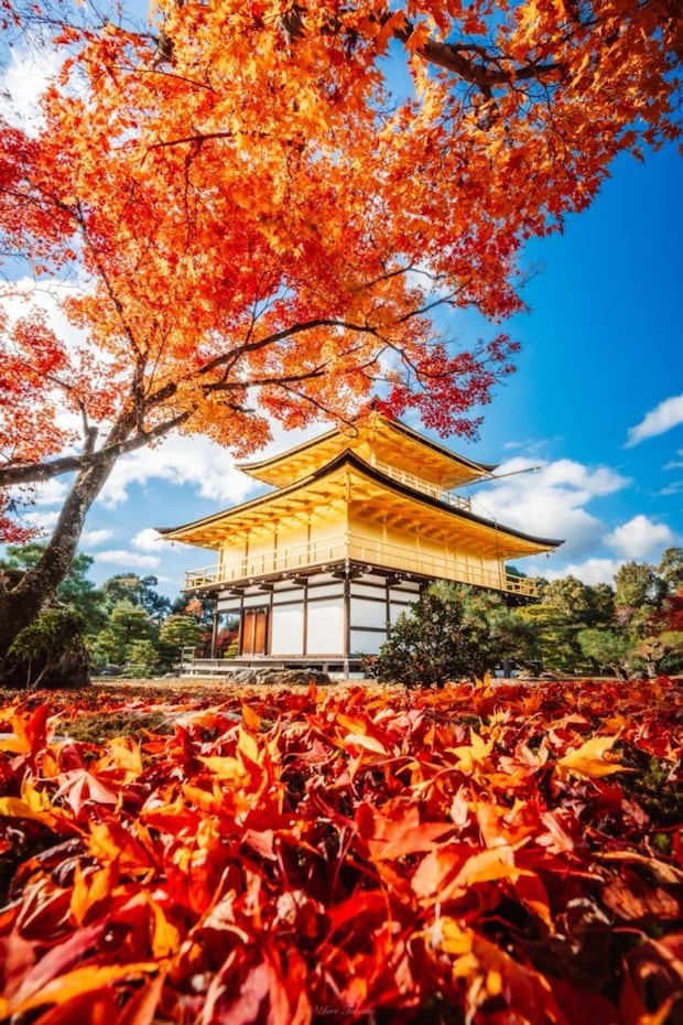 Iori Takano(@_iori_xx21)さんの投稿より、再掲