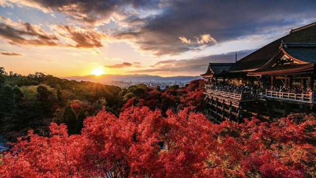 Iori Takano(@_iori_xx21)さんの投稿より、清水寺の秋