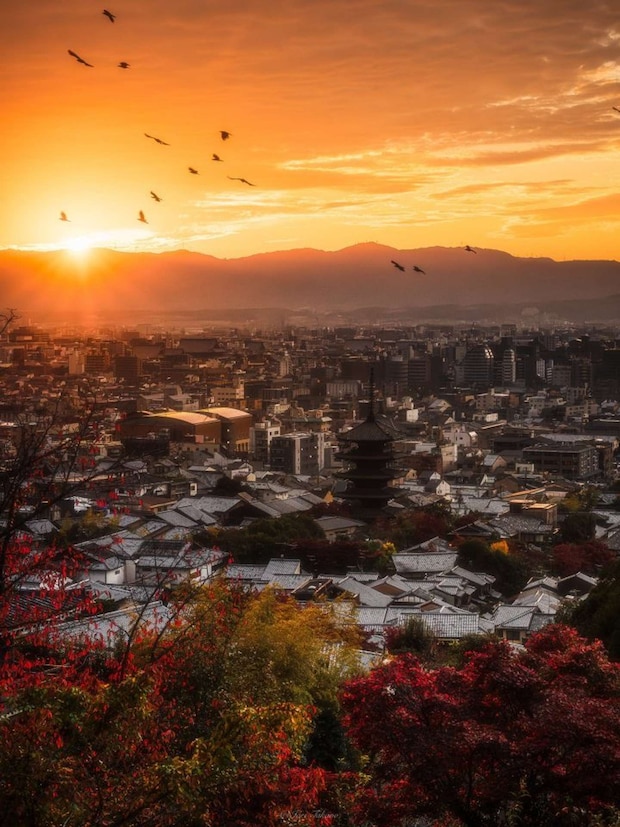 Iori Takano(@_iori_xx21)さんの投稿より、法観寺「八坂塔」を望む