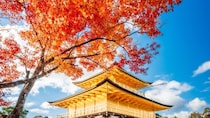 「何もかもがハマった見事な写真」「圧巻です」　タイミング完璧な〝紅葉の金閣寺〟に3万人感動