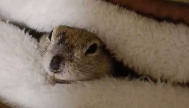 たかすぎS(@takasugis)さんの投稿より