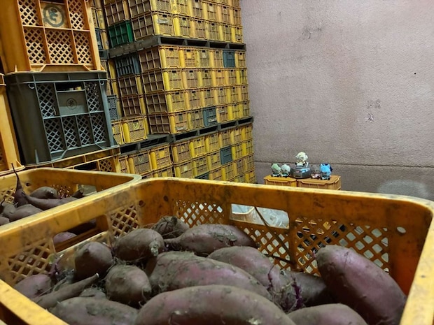 楽曲を聞かせている様子。楽曲は「はねる or Die」「バタフライエフェクト」「イニミニマニモ」「Starring Together!」「星空のエチュード」(画像はプレスリリースより)