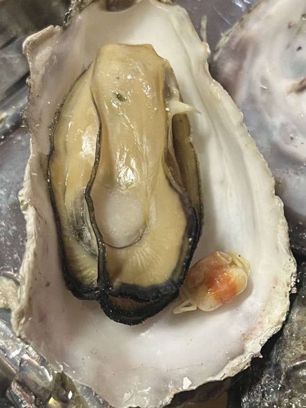 ちんまり(しん 植物オタクな中学生(@sanyasokun)さんの投稿より)