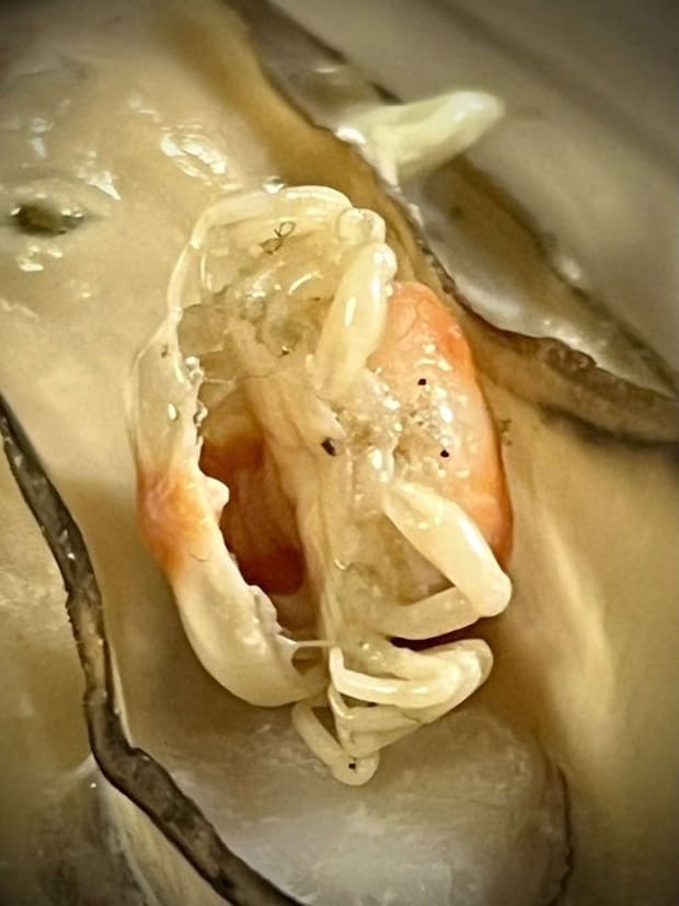 チハー(しん 植物オタクな中学生(@sanyasokun)さんの投稿より)