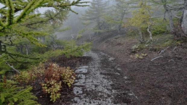 助けられて五合目に到着（画像はphotoAC）