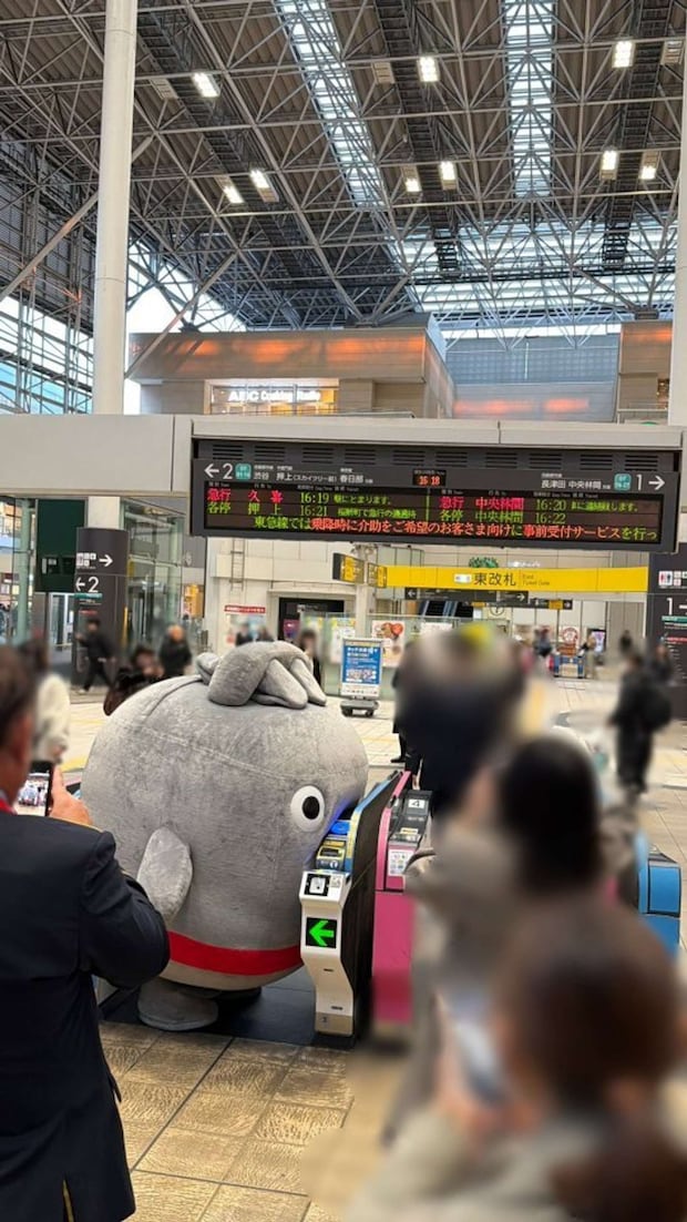 ぎゅむ、ぎゅむ......(画像はいし@mk_ishiさんの投稿より)