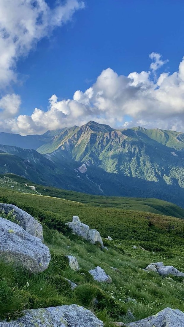 「れん」（＠xRENZAURx）さんの投稿より