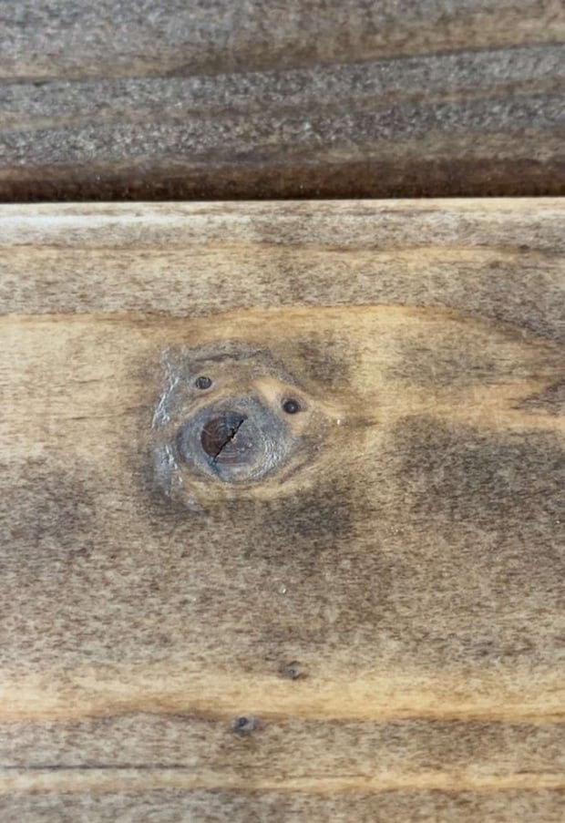 葦野(@iaruno)さんの投稿より