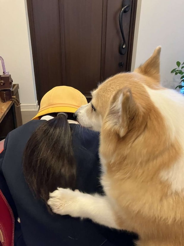 kogi_musu(@kogi_musu)さんの投稿より