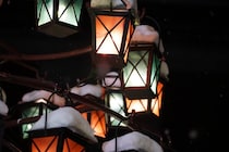 小樽の夜にキラキラ輝く〝クリスマスツリー〟に3万人うっとり　「かわいい〜！絵本みたい！」「粋な演出」