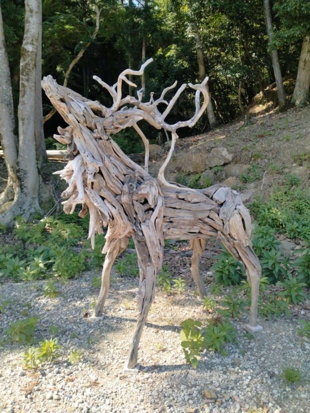 どうなってるの...?(画像は流木お兄さん@ryuboku023さんの投稿より)