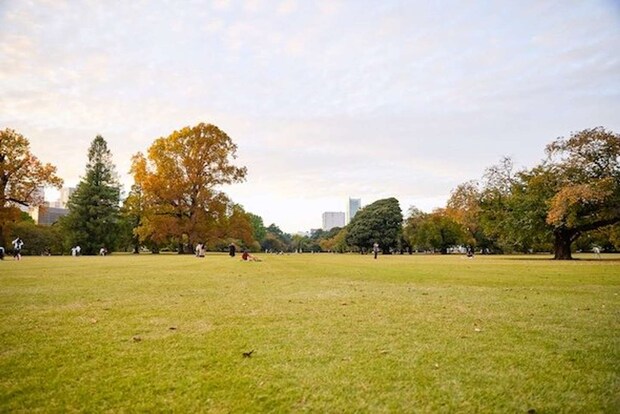 写真提供「新宿御苑管理事務所」 (C)Shinjuku Gyoen National Garden Office