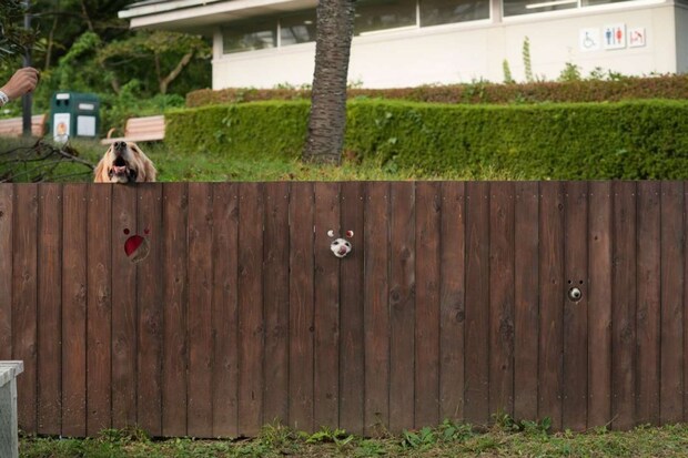 那須ハイランドパーク(@NASUHAI)の投稿より