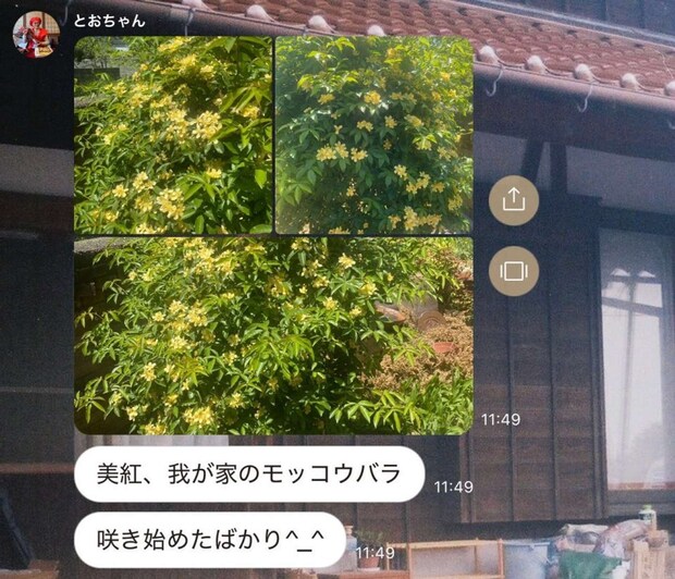 清子(@kiyoiko_)さんの投稿より、過去の家族LINE