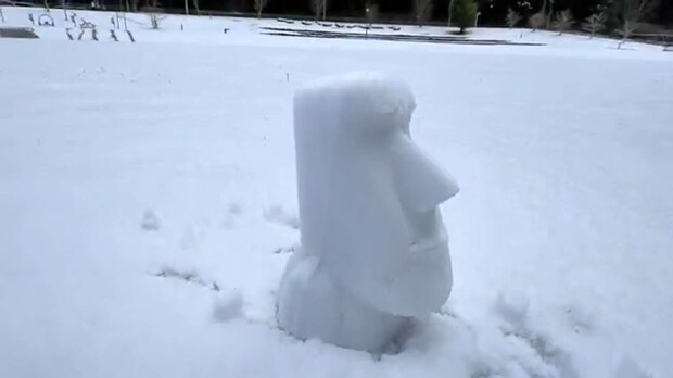 モアイの横顔(池田工業社のX投稿動画より、スクリーンショット)