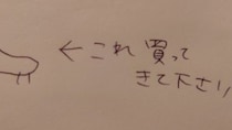 妻から渡された〝おつかいメモ〟に9.3万人困惑「何買ってきたらいい？」　→翌日夫が披露したのは...