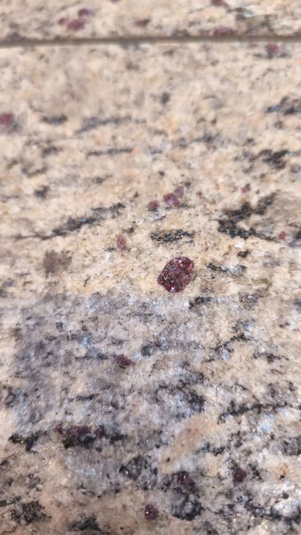 近くで見るとこんな感じ(画像はごもも@gomomomomomomoさんの投稿より)