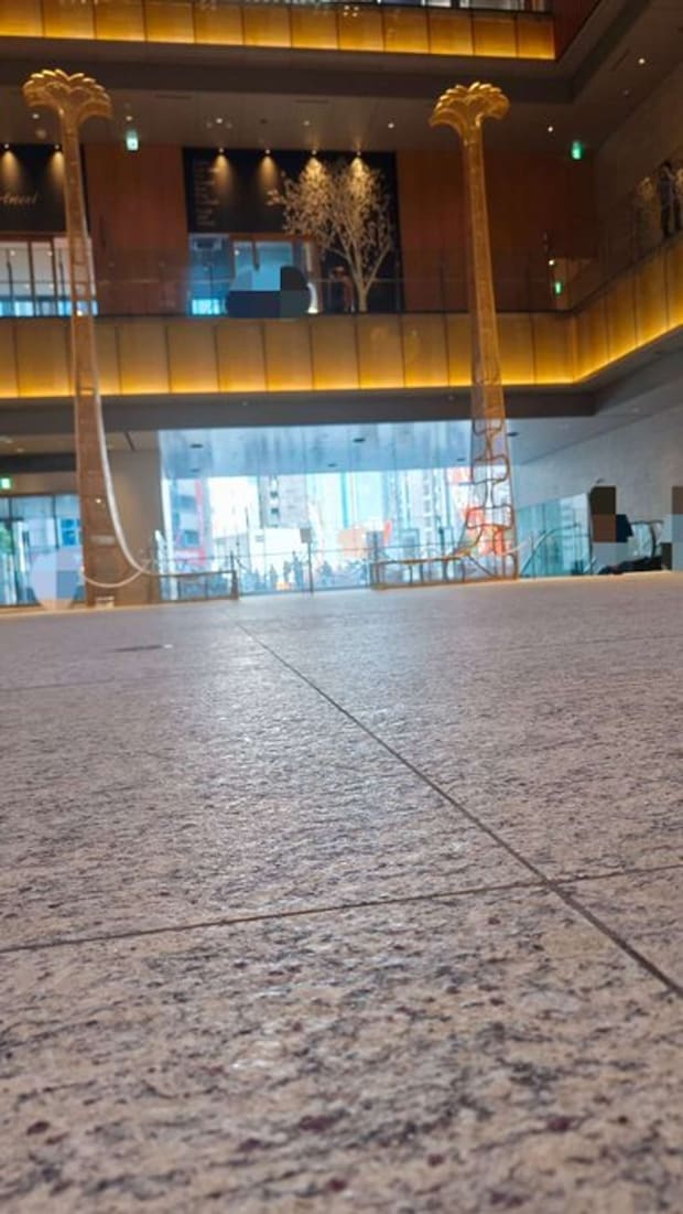 画像はごもも@gomomomomomomoさんの投稿より、再掲