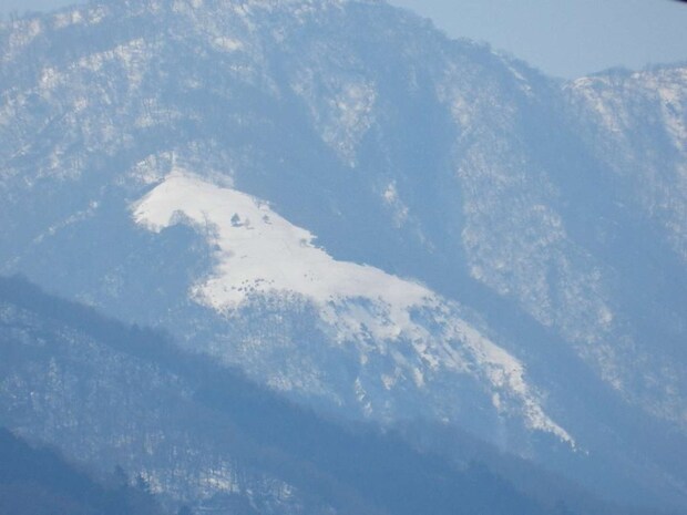 写真は10年以上前に撮影したもの(画像は神奈川県自然環境保全センター公式Xより)