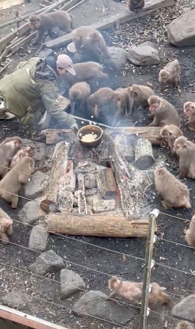 「かなよ」(@MASlJMAB6RCDTOD)さんの投稿動画からのスクリーンショット