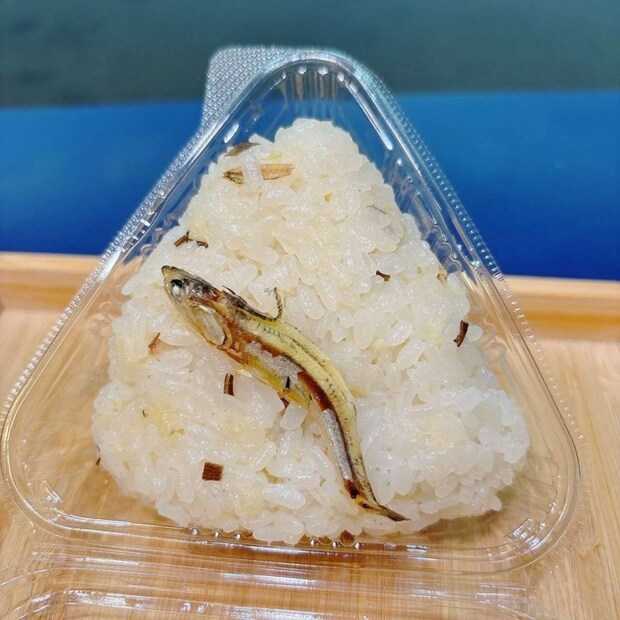 「伊吹いりこ」が入ってます(画像提供:MIXERMAN)