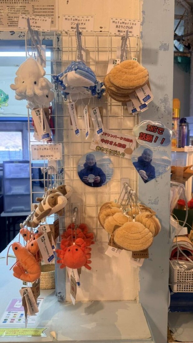 売り場にはTSTアドバンスの「MofuMarineシリーズ」がズラリ（画像提供：あわしまマリンパーク）