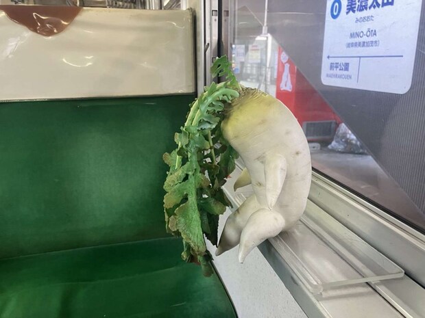 あめかり(@rainsnow517)さんの投稿より、再掲