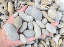 ただの石ころにしか見えないけれど...　大学生が20時間かけて削った〝成果〟にネット震撼「何で見つけられるんや...」