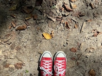 「忠告を聞かず、女一人で山を下る私。途中で車から見知らぬ人に声をかけられて」（年齢不詳・女性）