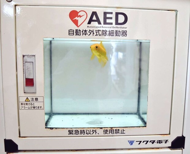 あさひ（＠tvtvtvlll）さんの投稿より