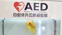 「僕の知ってるAEDとちょっと違うな」　高知・むろと廃校水族館の設備に10万人驚がく