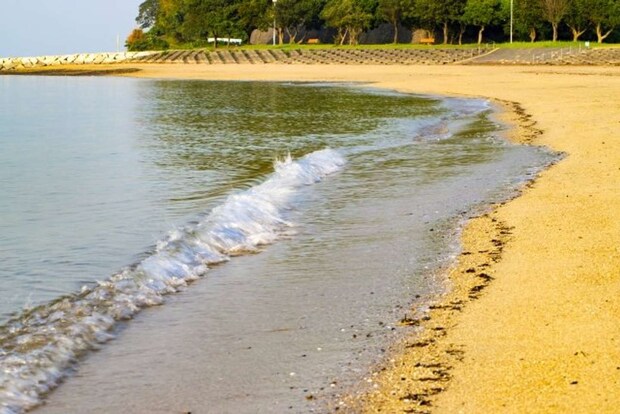 浜辺での出会い（画像はphotoAC）