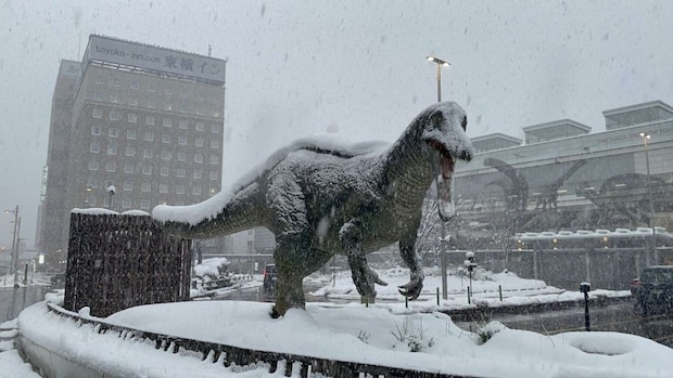 22日午後の福井駅前(爆戦@62gata_Bakusenさんの投稿より)