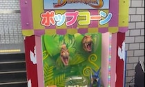ハローキティのポップコーンマシーンが福井流に「魔改造」されている...？　恐竜の首くるくる回る謎機械の正体とは