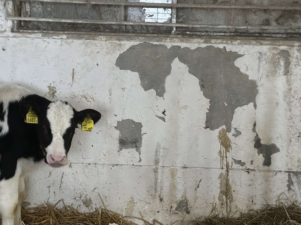 もみのき（＠mominoki_farm）さんの投稿より、再掲