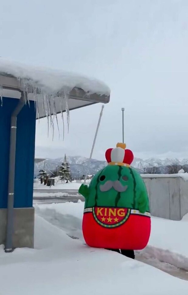 「ジャンボ～ル三世」（＠jumball3）の投稿より