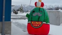「王様なのに働き者」「このゆるさ、たまらん」　富山県入善町「ジャンボ～ル三世」の人気に火が付いた！？