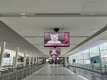 「デスゲーム会場になるの怖すぎる」　中部国際空港をジャックした〝ヤバ豚〟に14万人戦慄