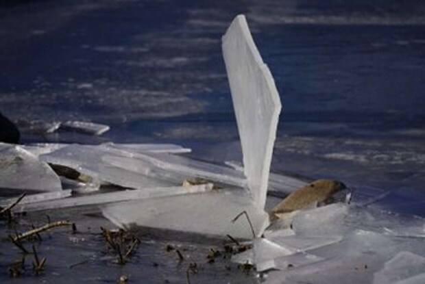 正体は？（画像はkannagi＿ts＠kannagi＿tsさんの投稿より）