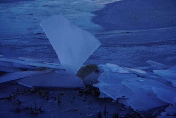 画像はkannagi＿ts＠kannagi＿tsさんの投稿より