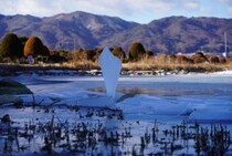 「すごい神々しい」「てことは、この先に...」　長野・諏訪湖の上に現れた〝謎の板〟に1.8万人瞠目