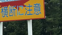「さすが北海道」としか言えない　同じ場所に立つ〝横断注意看板〟2種に1.7万人驚がく「野生のおるんやな」