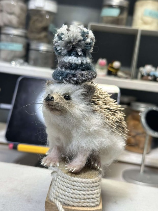 ハリネズミさん、こんにちは（画像はHiroko（＠Hiroko_NeFe）さんの投稿より）