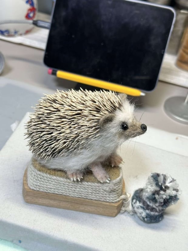 爪もしっかりある（画像はHiroko（＠Hiroko_NeFe）さんの投稿より）