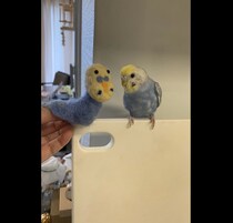 羊毛フェルトでインコを作ろう！　→残念すぎる仕上がりに腹筋崩壊