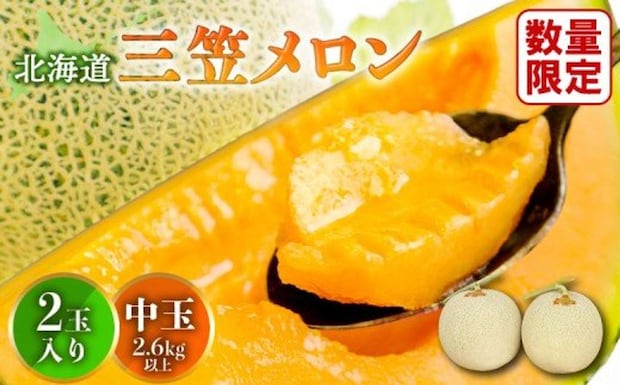 北海道 三笠市「《2026年分受付中》とろける食感と甘い香り北海道三笠メロン2玉入（2.6kg以上）」9000円（ふるさとチョイスより）