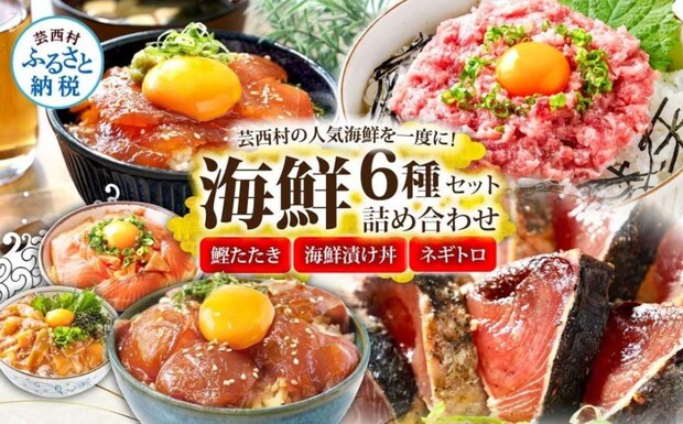 高知県 芸西村「かつおのたたき600g ネギトロ 80gx2P 漬け丼の素80g×4P 海鮮セット」12500円（ふるさとチョイスより）