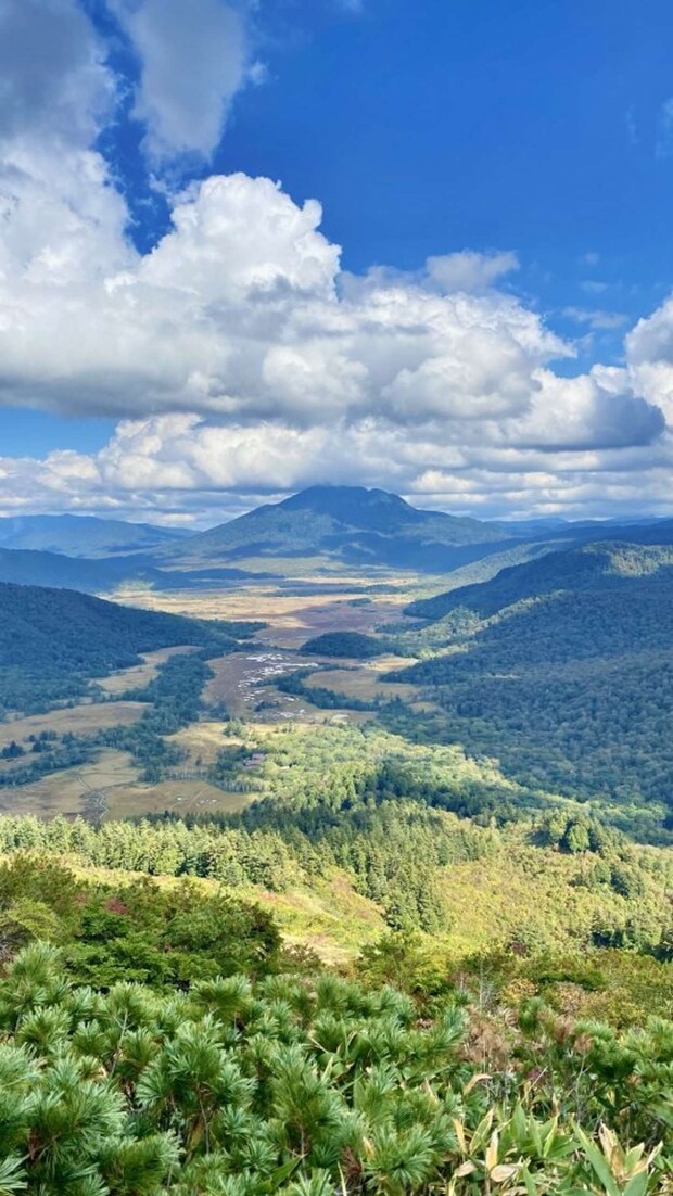 「れん」（＠xRENZAURx）さんの投稿より