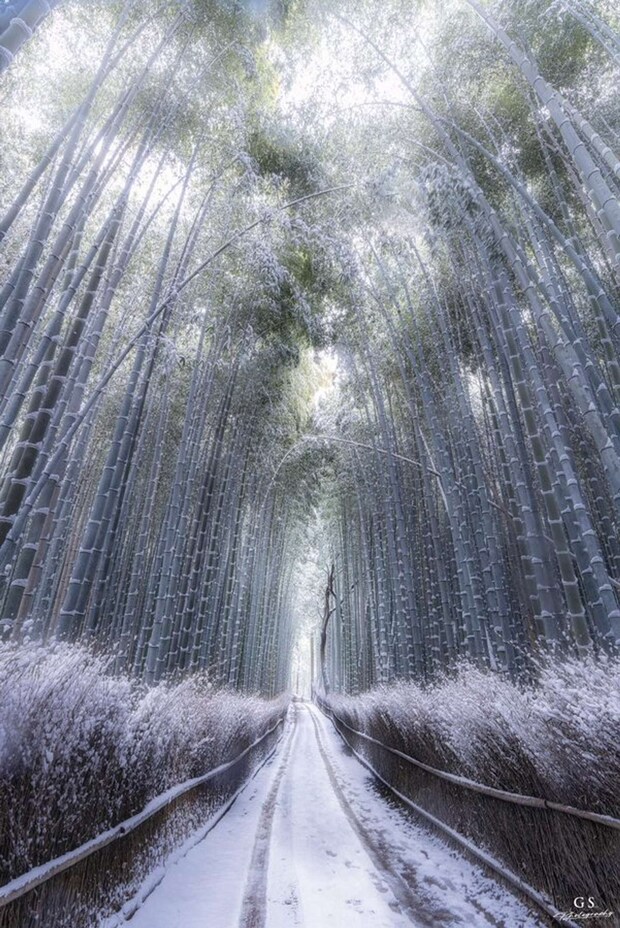 aki（＠aki_goodspeed）さんの投稿より