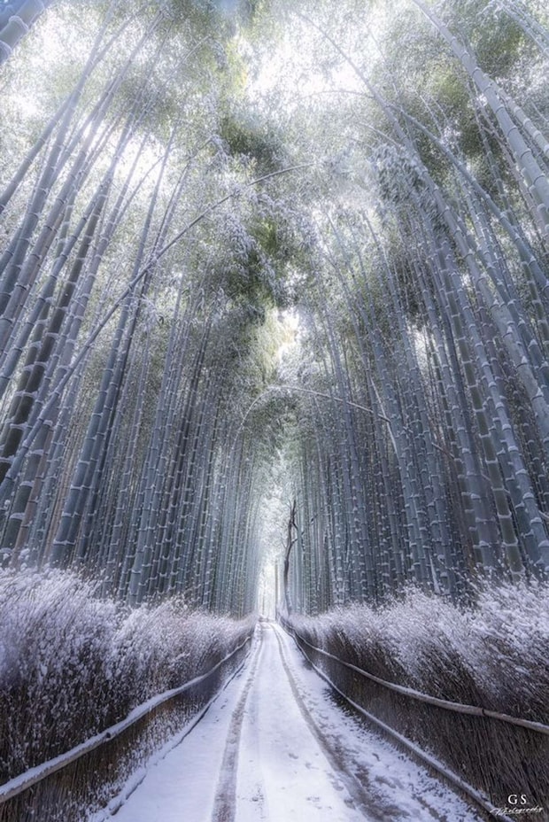 aki（＠aki_goodspeed）さんの投稿より、再掲